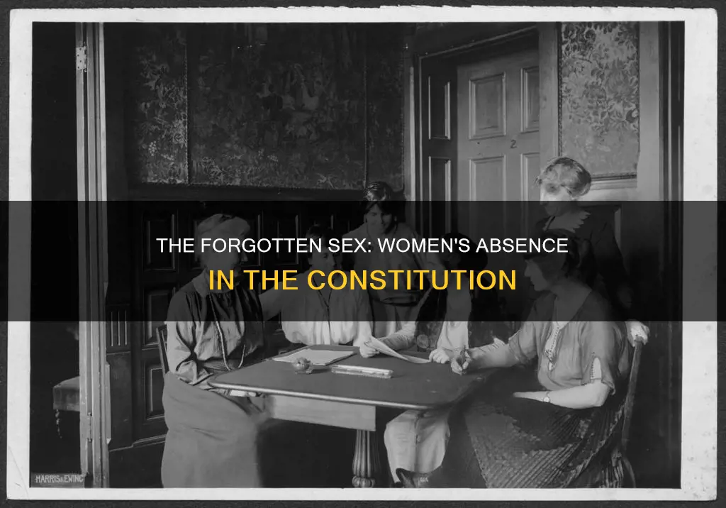 why there are no women in the constitution
