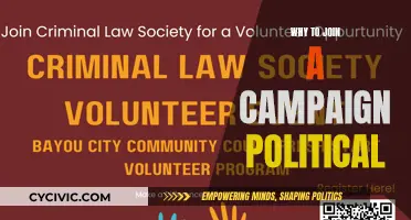 Join a Political Campaign: Make a Difference