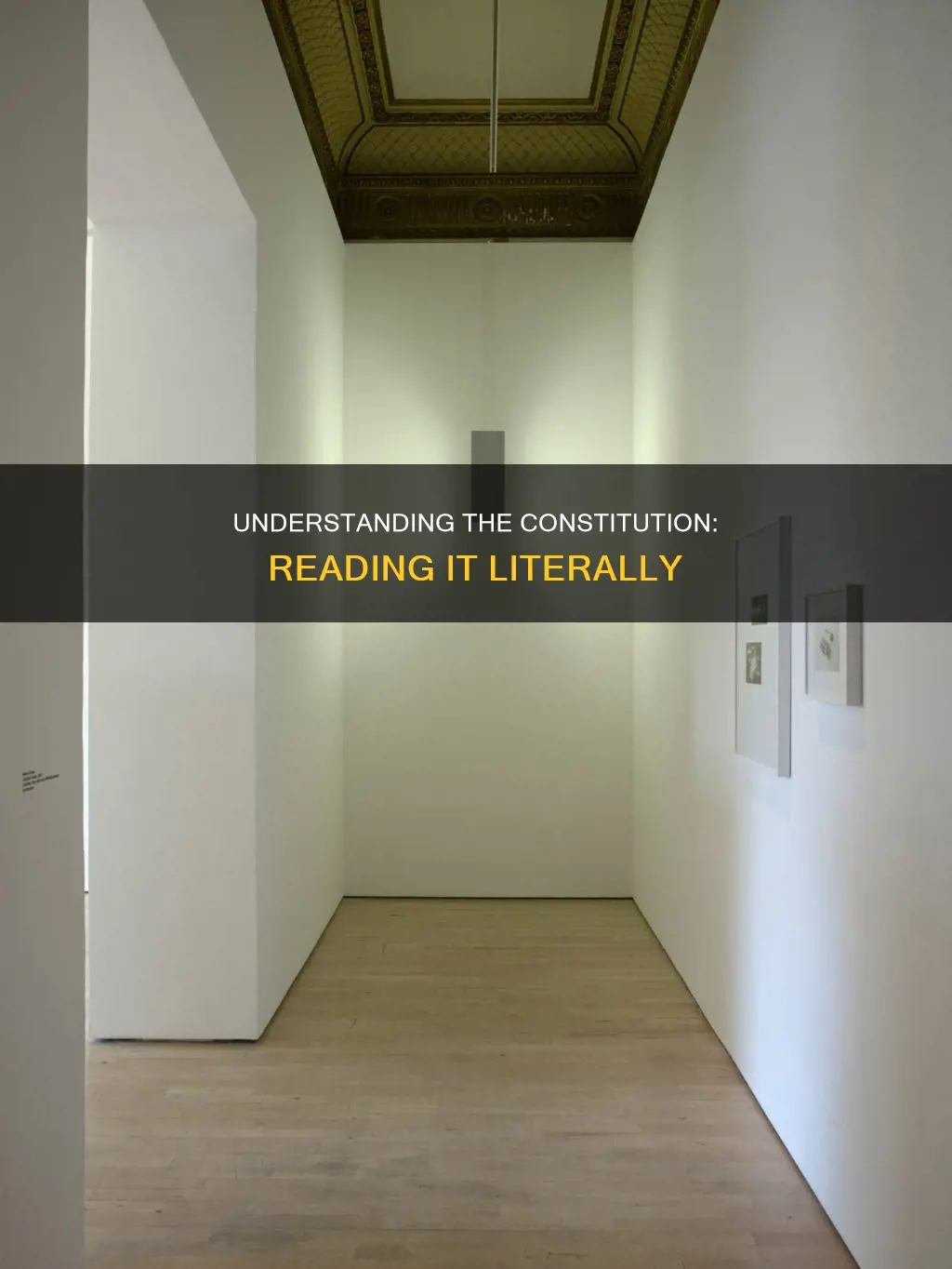 why to read the constitution at face value