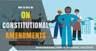 Don't Amend the Constitution: Your Vote Counts