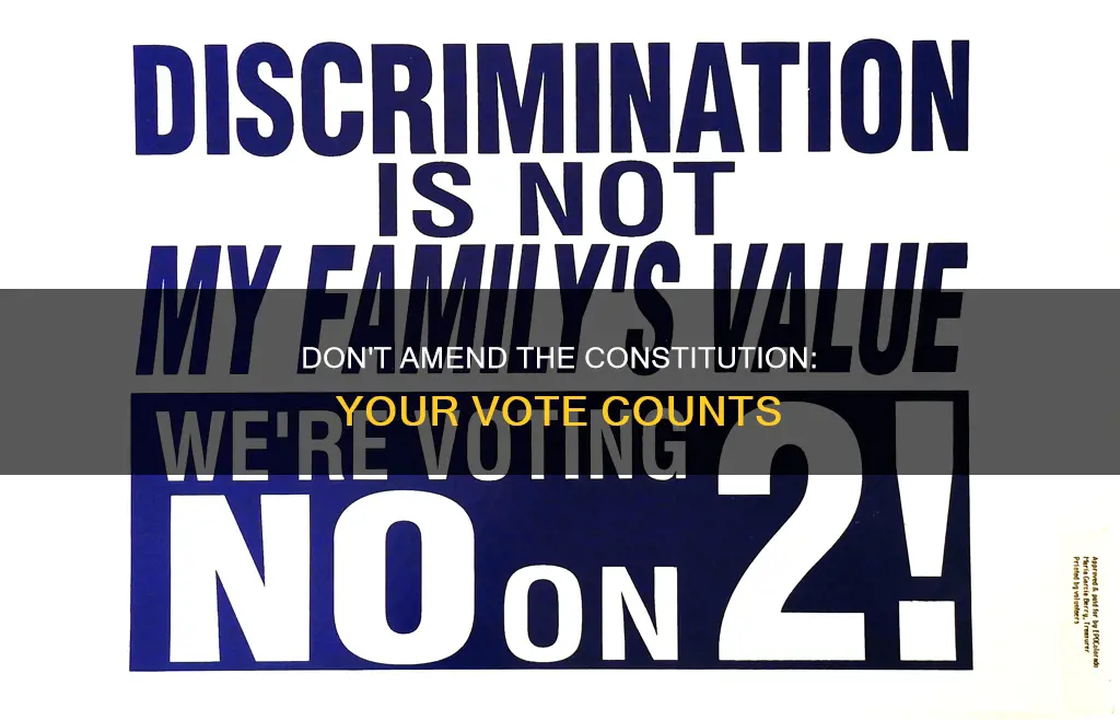 why to vote no on constitutional amendments