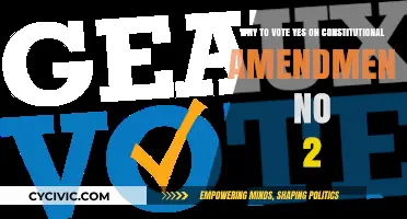 Vote Yes: Secure Our Constitution's Future