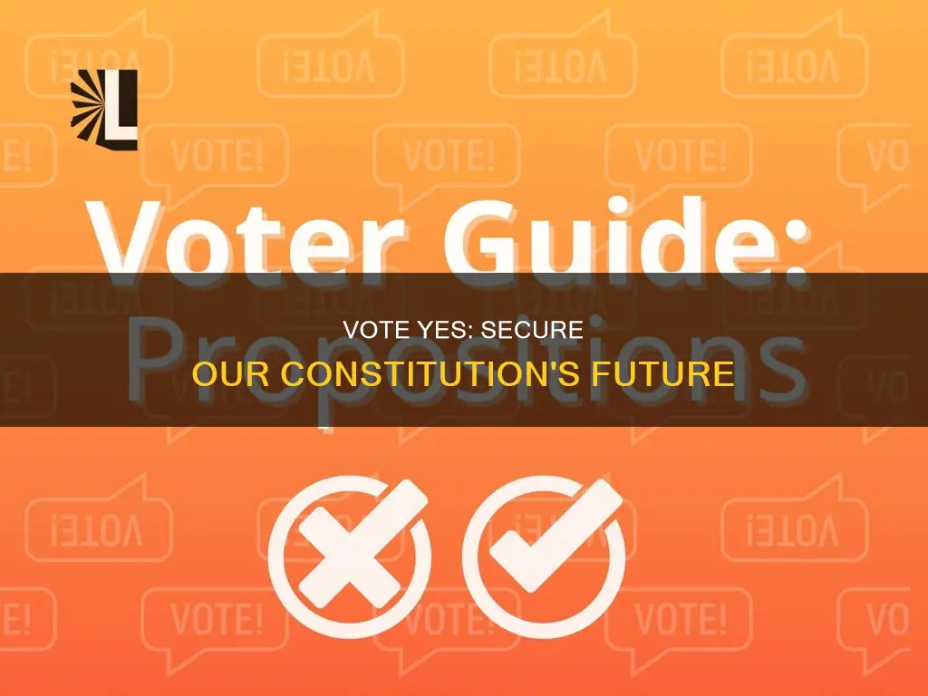 why to vote yes on constitutional amendment no 2