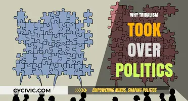 Tribalism's Grip: How Identity Politics Reshaped Modern Political Landscapes