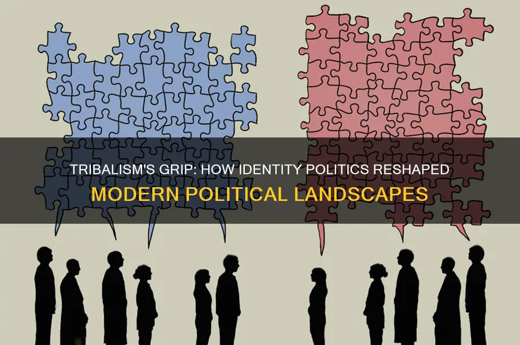 why tribalism took over politics