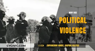 Understanding the Roots and Consequences of Political Violence: A Critical Analysis