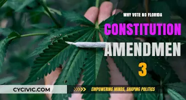Floridians: Reject Amendment 3