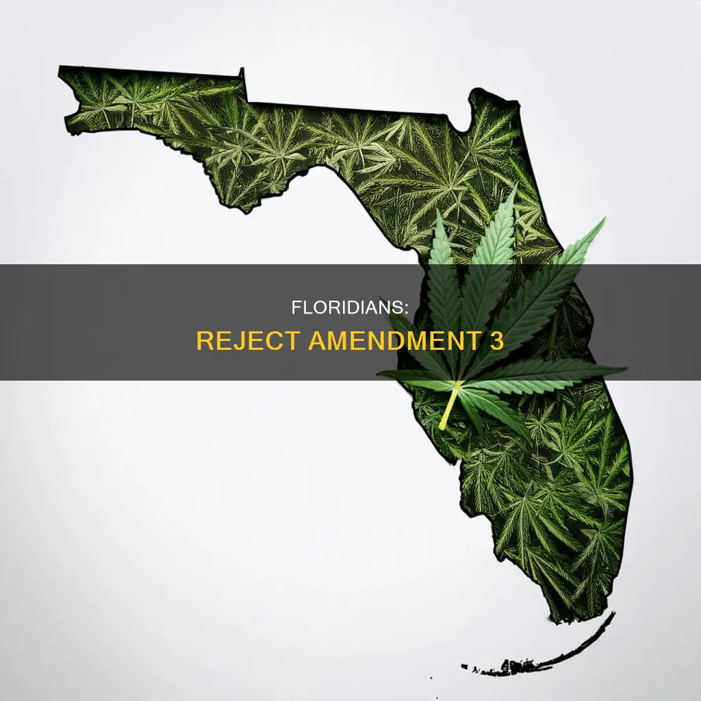 why vote no florida constitutional amendment 3