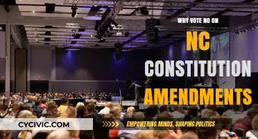 Don't Let Amendments Fool You: Vote No!