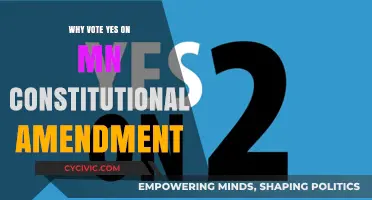 Vote Yes on MN Amendment: Our Future Depends on It