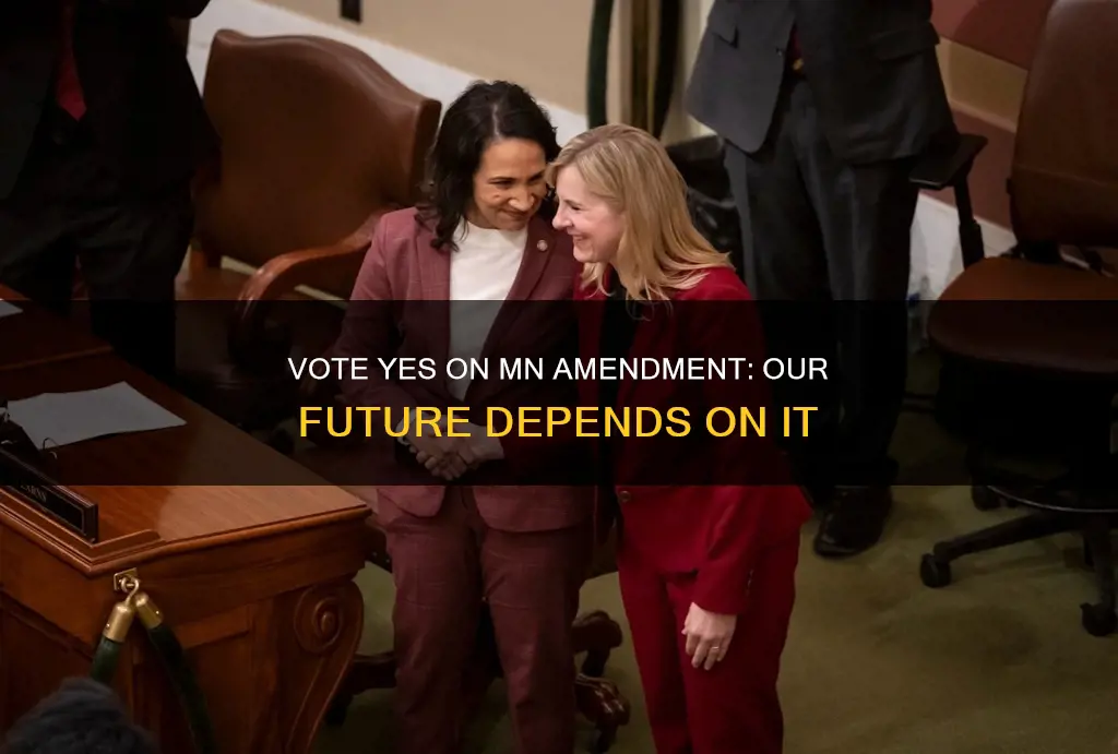 why vote yes on mn constitutional amendment