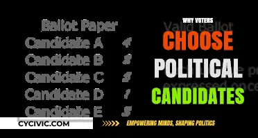 Understanding Voter Preferences: Key Factors in Political Candidate Selection