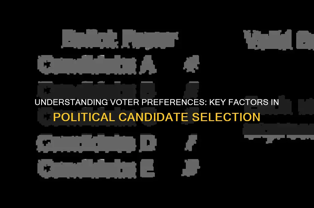 why voters choose political candidates