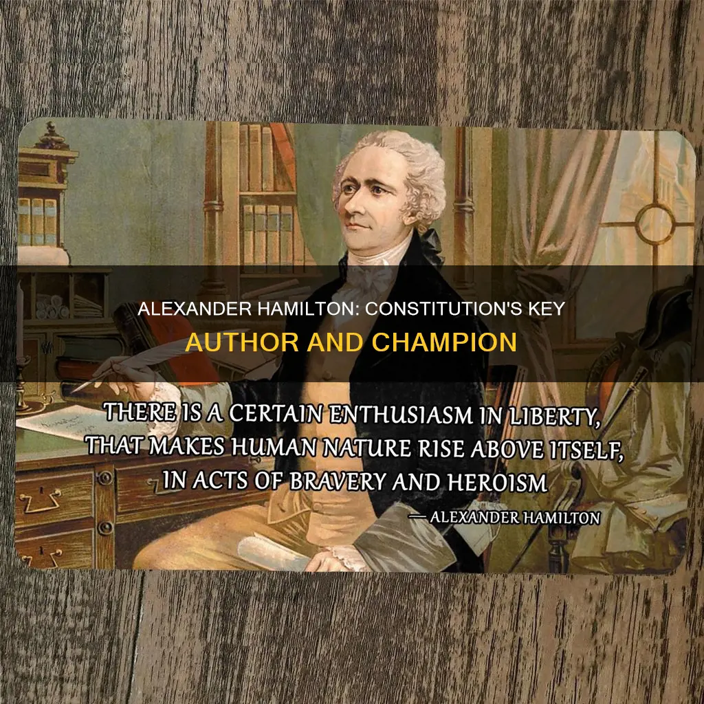 why was alexander hamilton important to the constitution