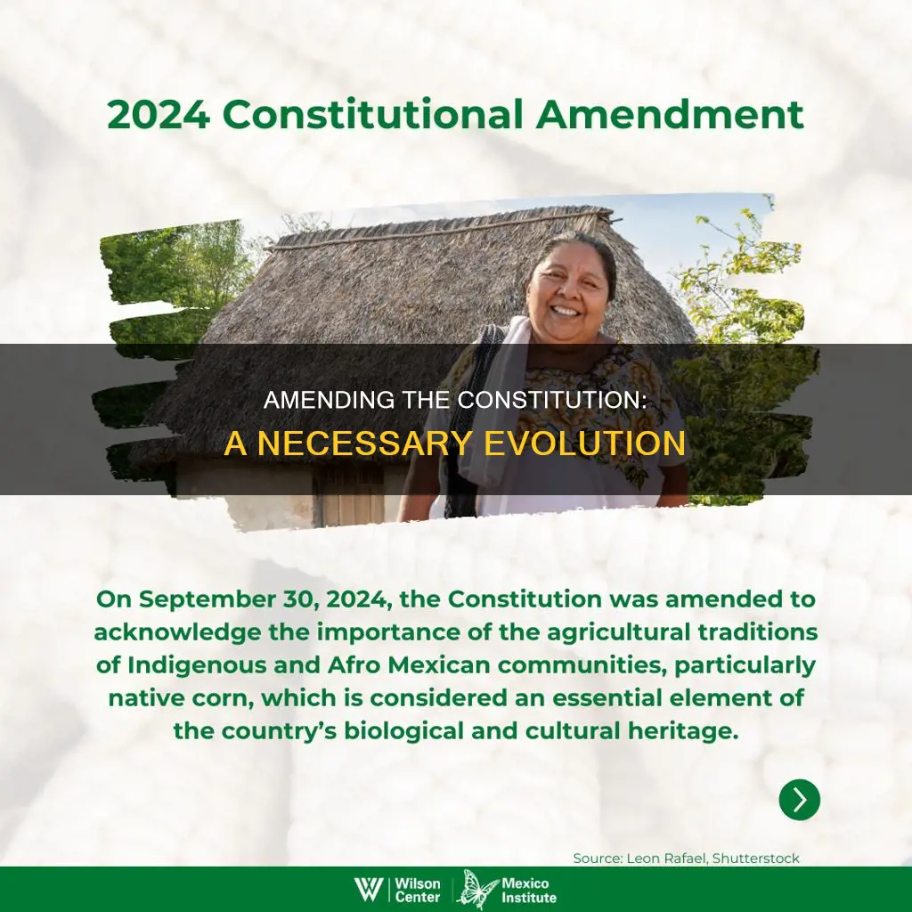 why was being able to amend the constitution important