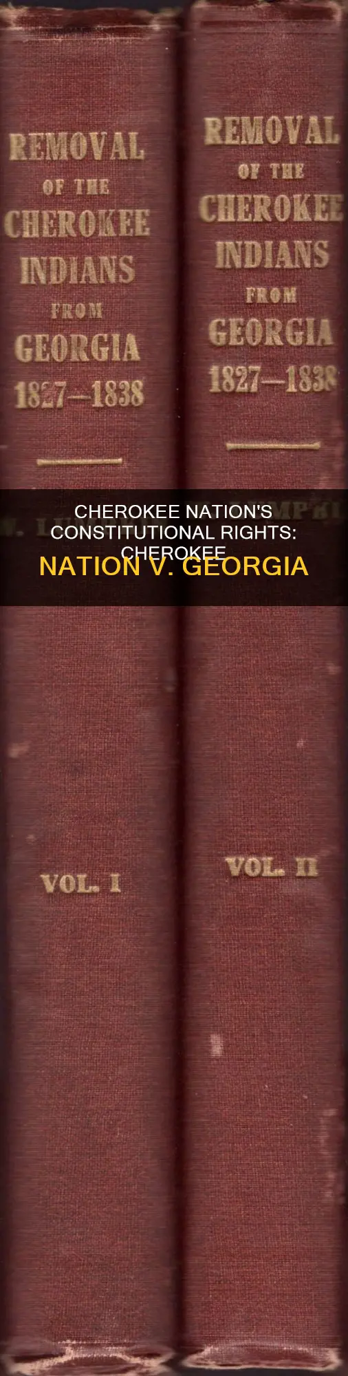 why was cherokee nation v georgia case constitutional