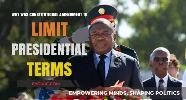 Term Limits: Preventing Presidential Power Abuse