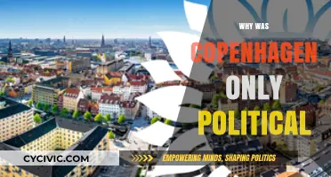 Copenhagen's Political Focus: Unraveling the Absence of Cultural and Social Dimensions