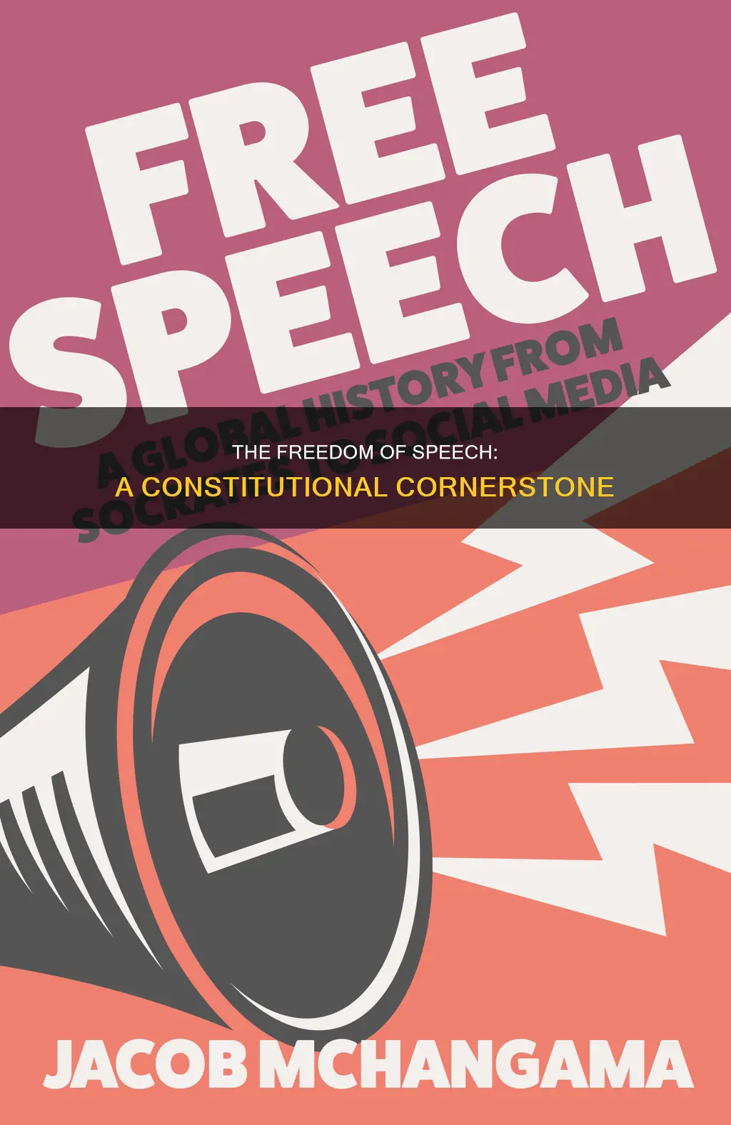 why was free speech added to the constitution