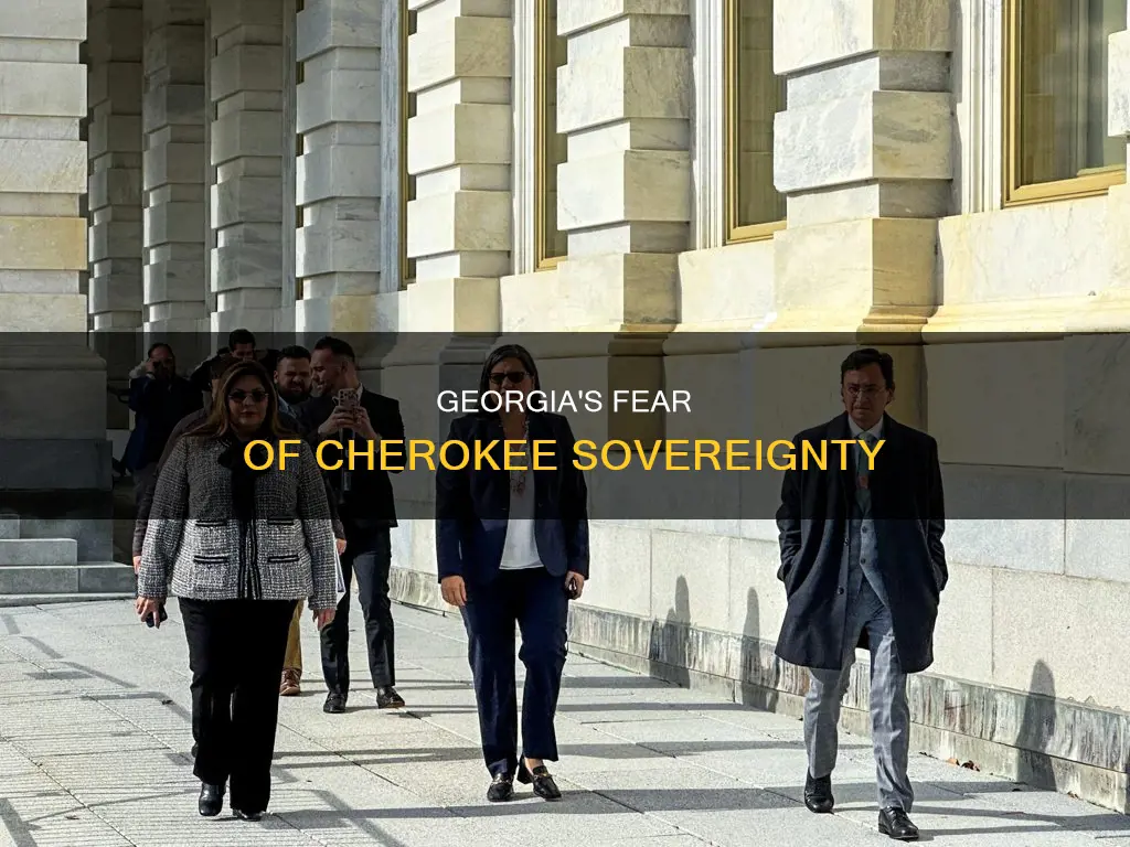 why was georgia so threatened by the cherokee constitution