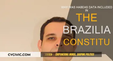 Habeas Data: Brazil's Constitutional Privacy Protection