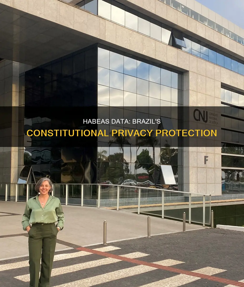 why was habeas data included in the brazilian constitution