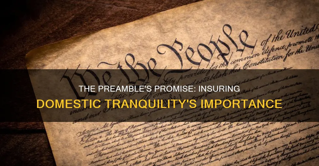 why was insure domestic tranquility included in the preamble
