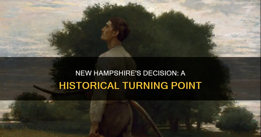 why was it significant when new hampshire accepted the constitution