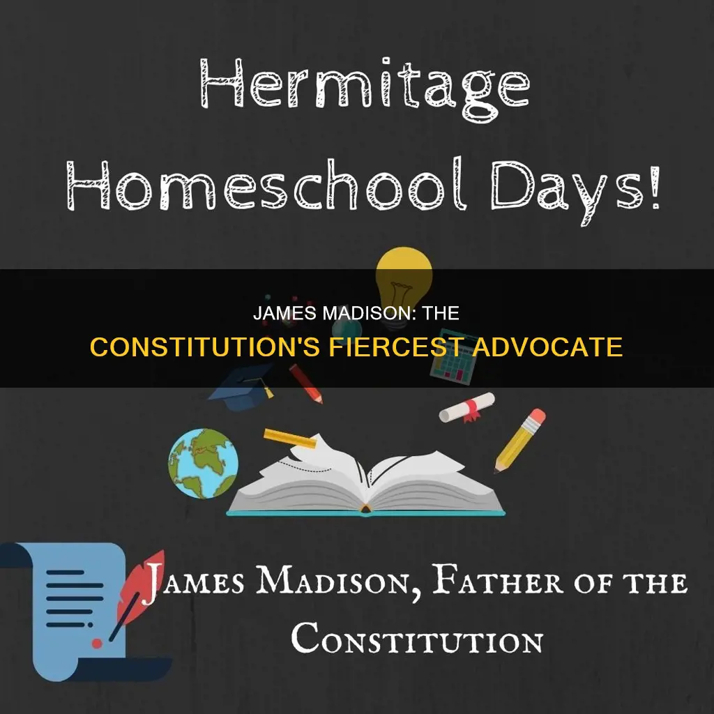 why was james madison adamant about the constitution