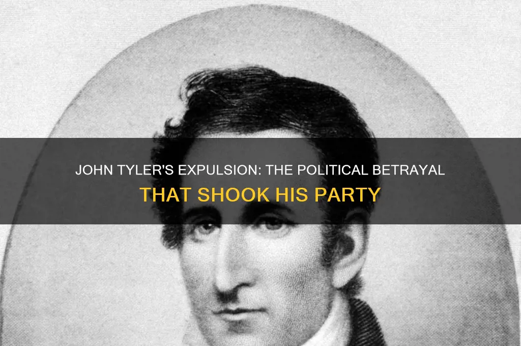 why was john tyler expelled from his political party