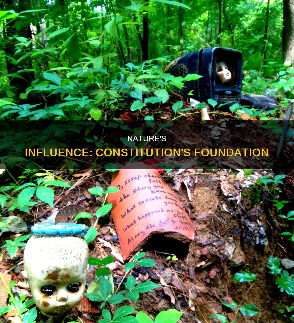 why was nature such an important part of the constitution