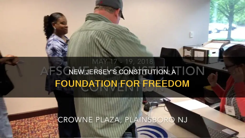 why was new jersey in favor of the constitution