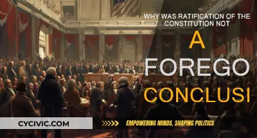 Challenges to Ratification: Constitution's Fate in the Balance