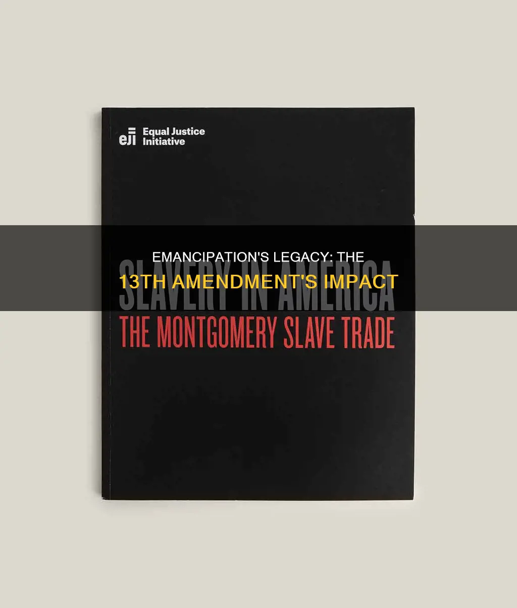 why was the 13th amendment to the constitution important