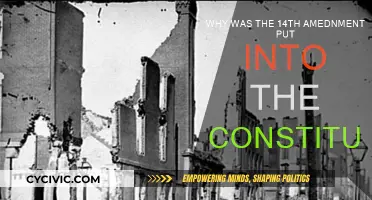 The Fourteenth Amendment: Ensuring Citizenship and Due Process
