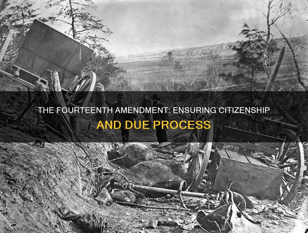 why was the 14th amednment put into the constitution