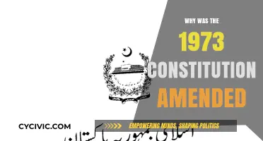 Egypt's 1973 Constitution: Amendments for a Modern Egypt