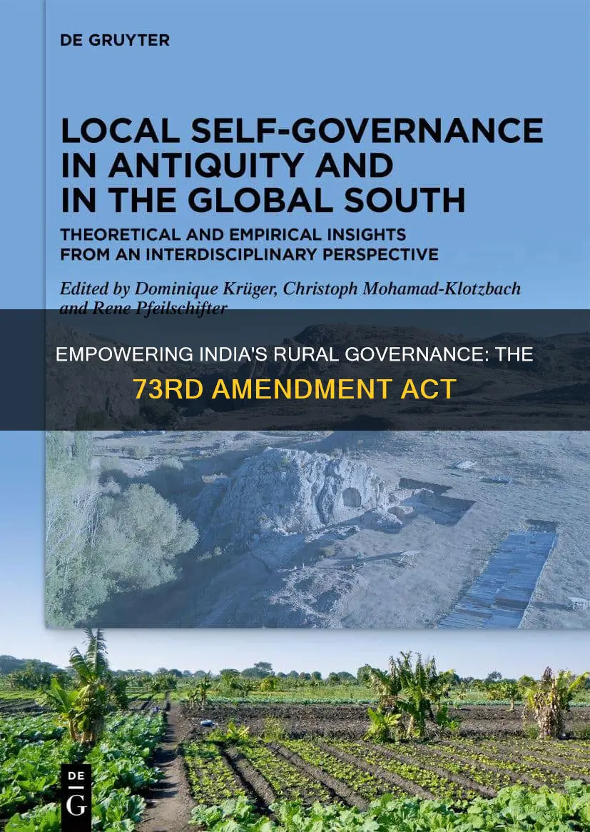 why was the 73rd constitutional amendment act enacted in 1993