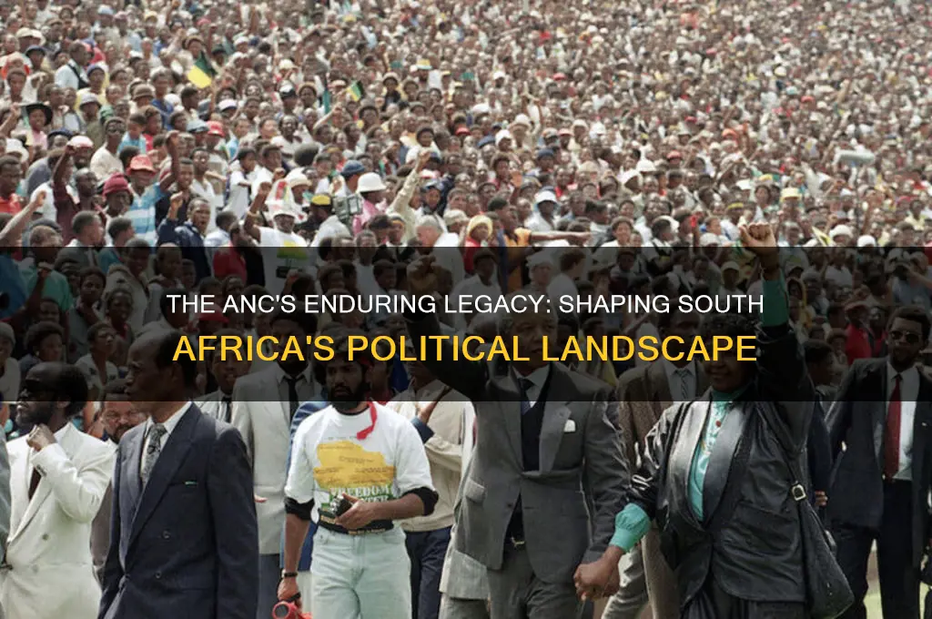 why was the anc a valuable political party