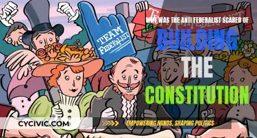 Federalist Fears: Constitution Concerns and Anti-Federalist Scares