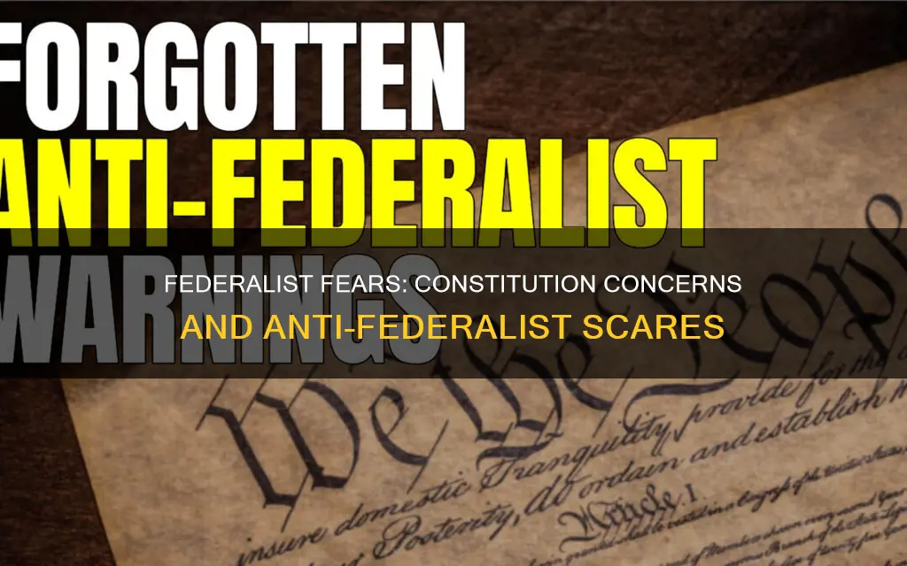 why was the anti federalist scared of building the constitution