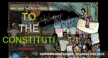 Understanding the Constitution: The BOR's Vital Role