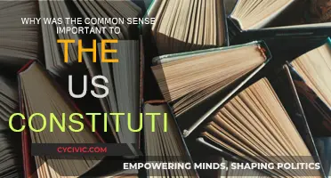Common Sense's Influence on the US Constitution