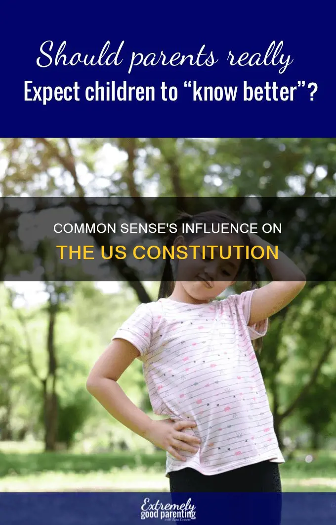 why was the common sense important to the us constitution