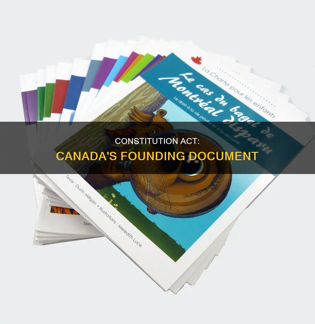 why was the constitution act of 1982 created