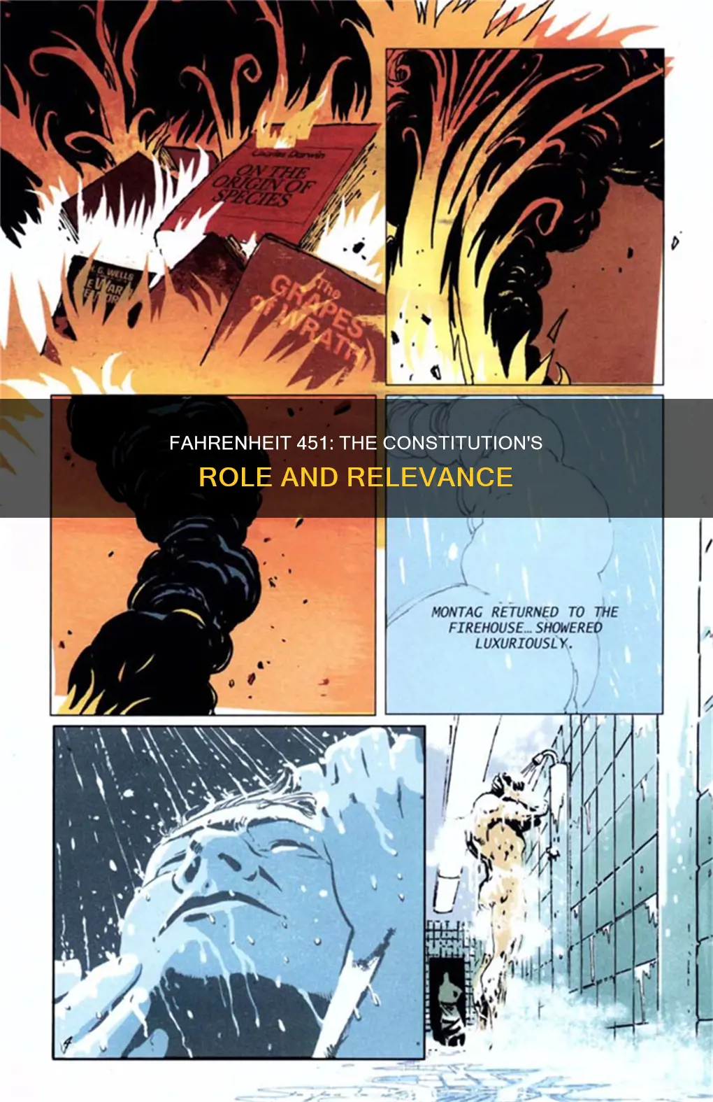 why was the constitution alluded to in fahrenheit 451