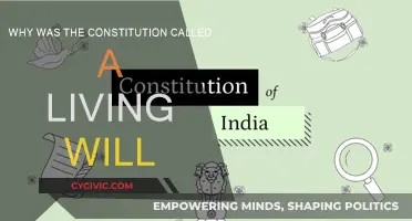 The Constitution: A Living Will, Evolving with Time