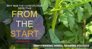 The Constitution: Flawed from Inception