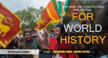 Constitution's Influence: A Global Impact