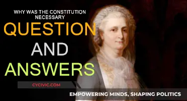 Foundations of Freedom: Constitution Questions Answered